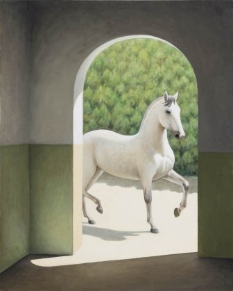 Os cavalos 4
