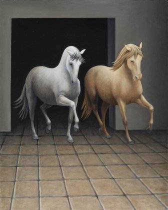 Os cavalos 5