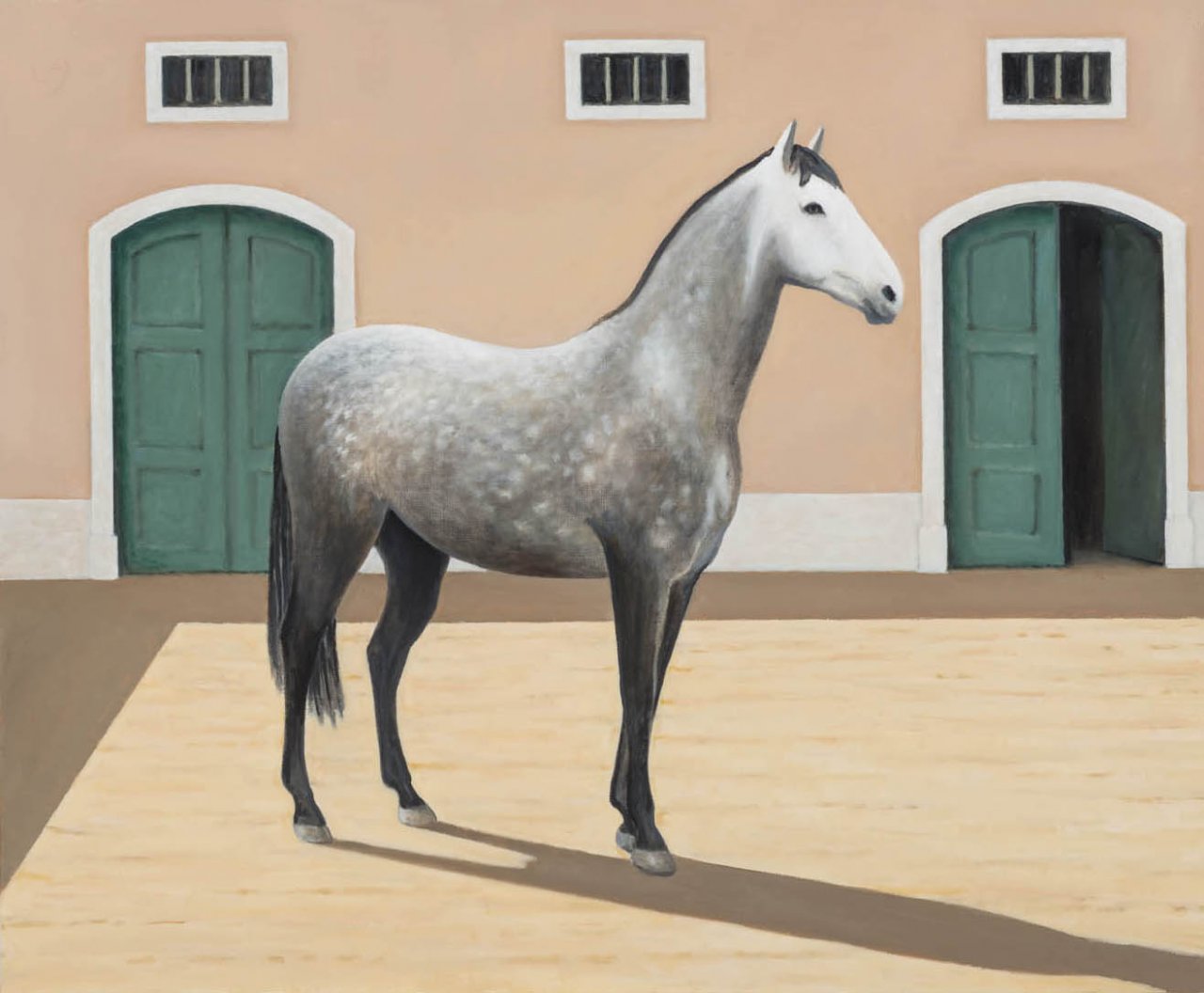 Os cavalos 9