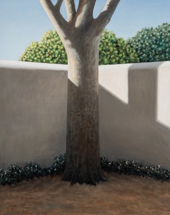 [The Tree in the Corner]