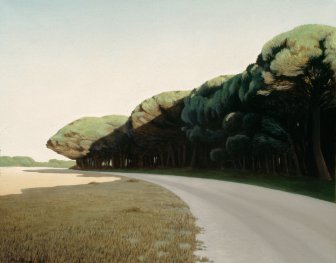 Pinhal &agrave; tardinha I