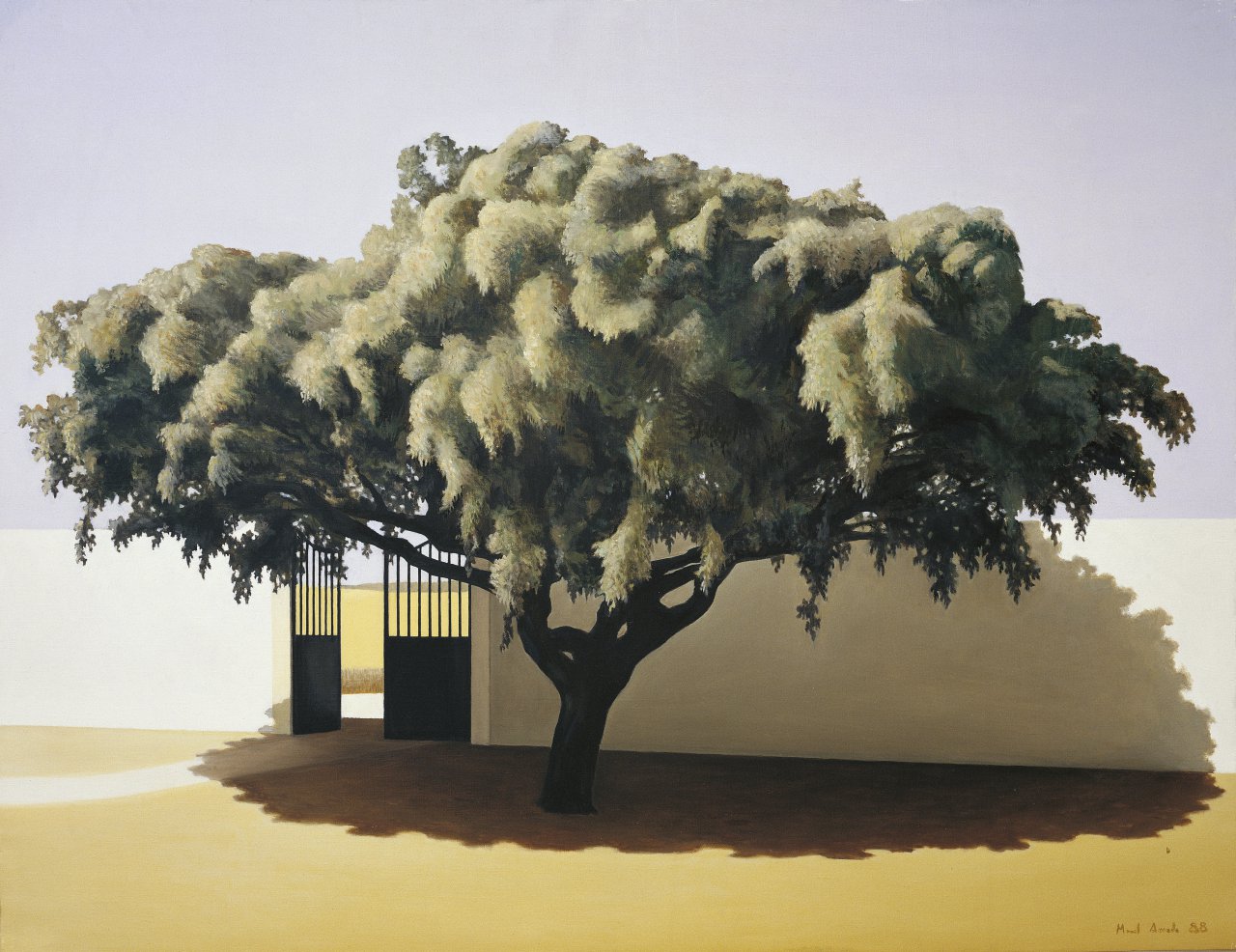 &Aacute;rvore com port&atilde;o e muro