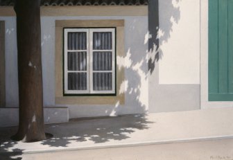 [Old Tree on the Sidewalk]