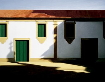 [Side yard]